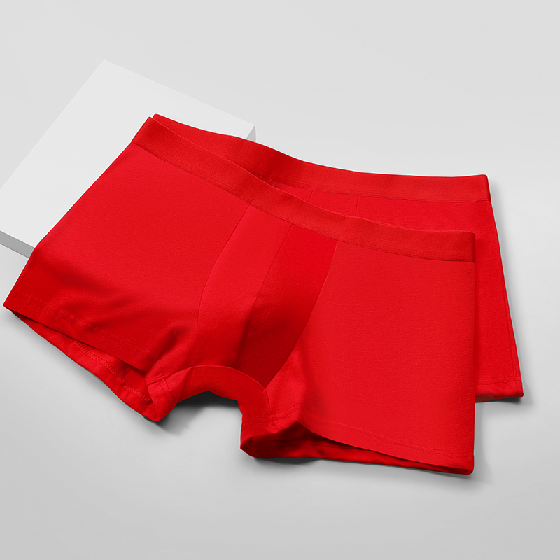 Męskie bokserki z 100% bawełny – Boxer Brief Pack Cotton recenzja i cena