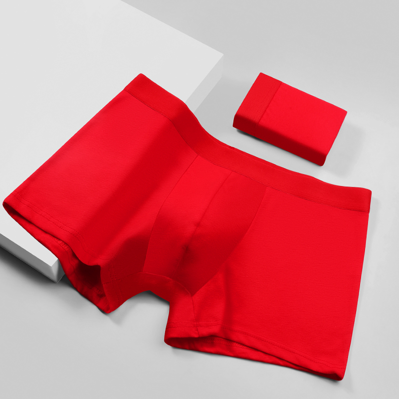 Męskie bokserki z 100% bawełny – Boxer Brief Pack Cotton recenzja i cena